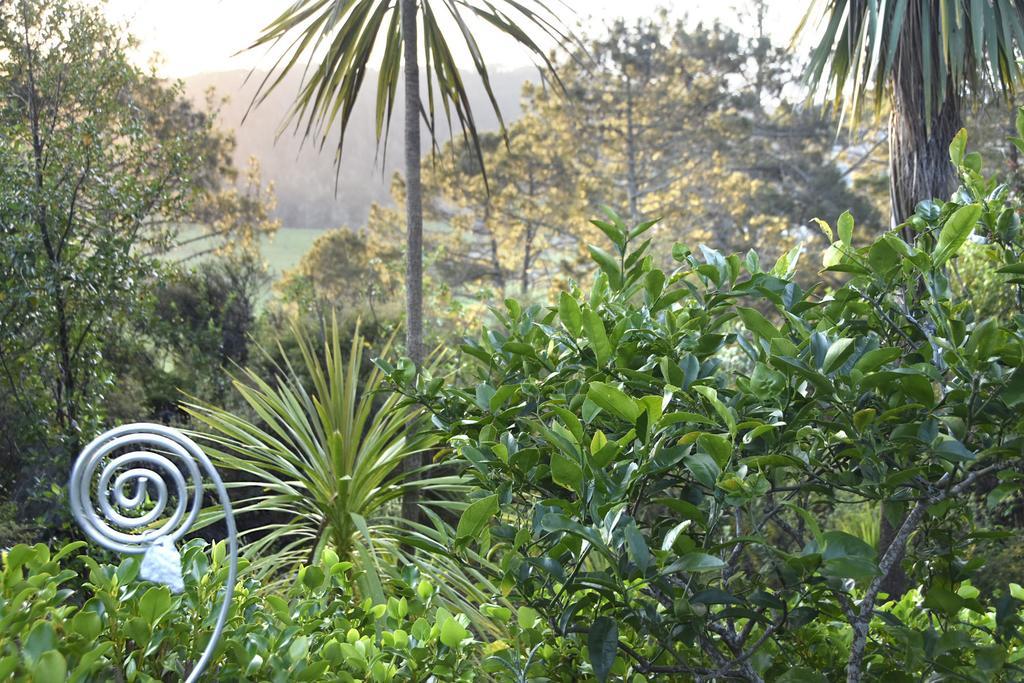 Ponga Eco-Lodge Hahei Ngoại thất bức ảnh