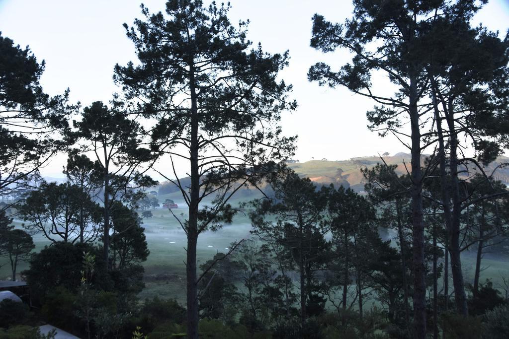 Ponga Eco-Lodge Hahei Ngoại thất bức ảnh
